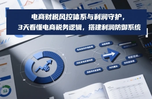 【精】电商财税风控体系与利润守护，3天看懂电商税务逻辑，搭建利润防御系统