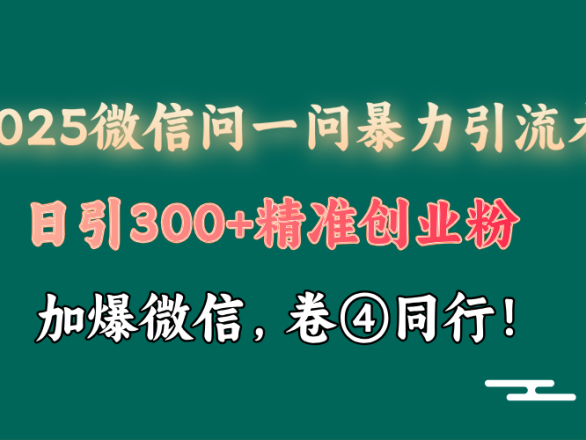 2025 微信问一问最新玩法,暴力引流 300+创业粉,条条爆款,单日变现四位数